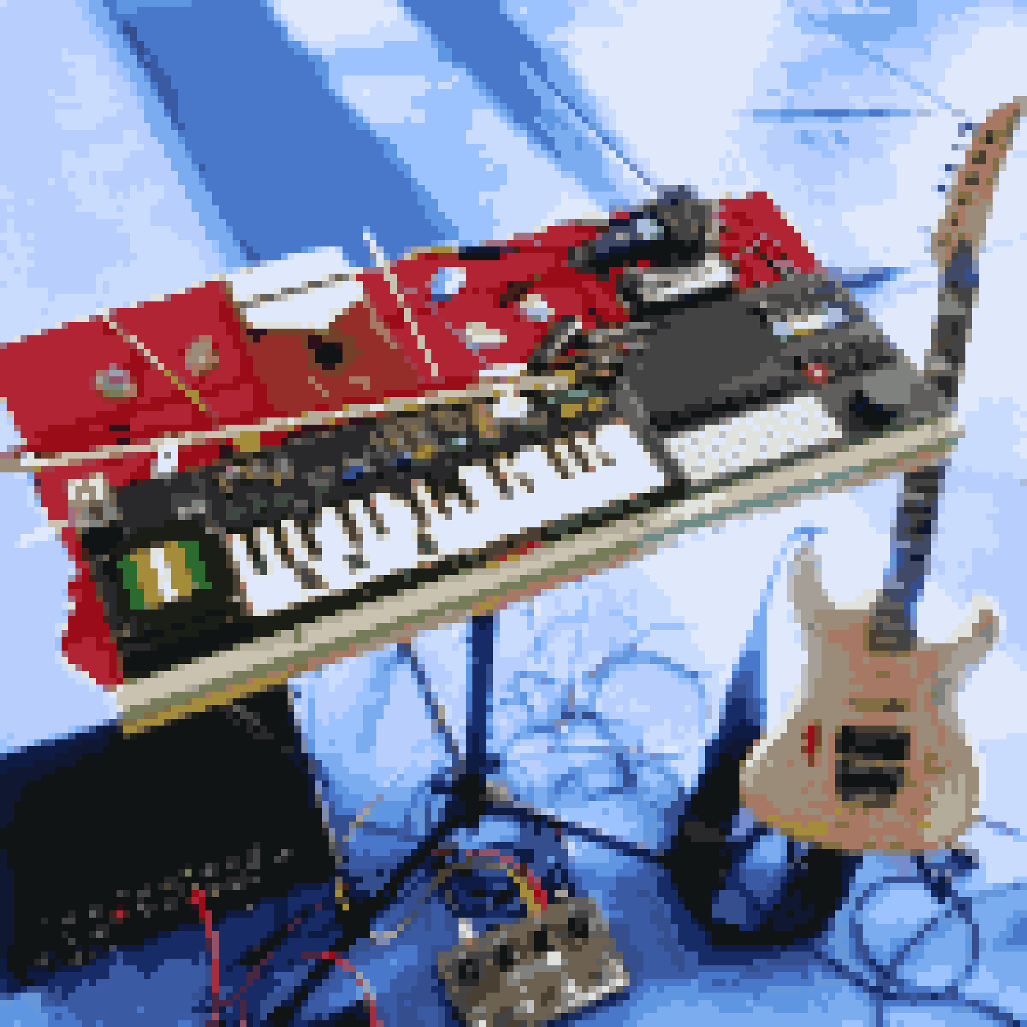 usine cover